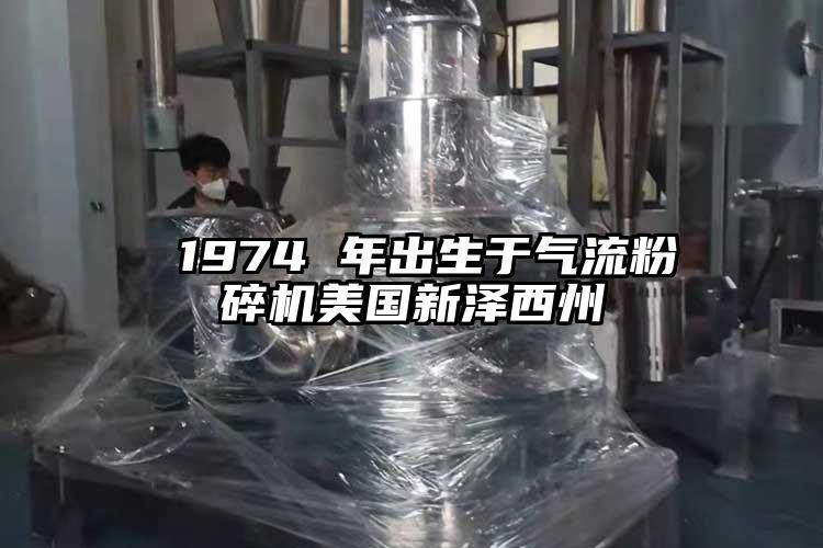  1974 年出生于气流粉碎机美国新泽西州