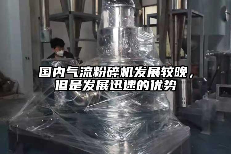国内气流粉碎机发展较晚，但是发展迅速的优势