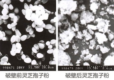 操作简便等气流粉碎机众多优点